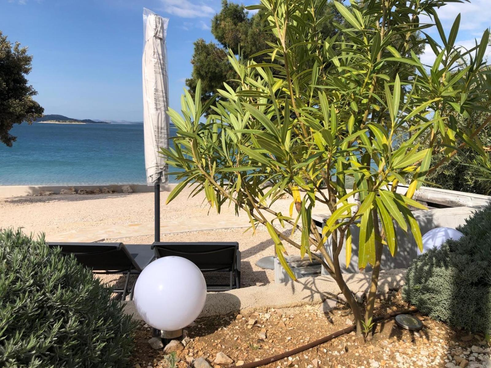 דראגה Buqez Eco Resort - Beachfront 20 & House 42 מראה חיצוני תמונה